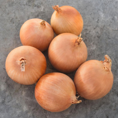 СЕДОНА F1 лук Бейо