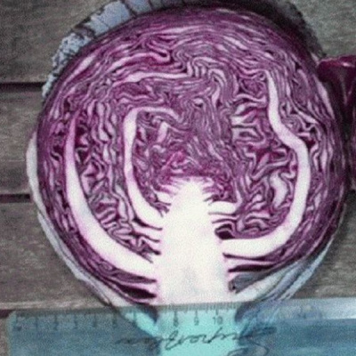 РОКСИ F1 капуста краснокочанная Семинис