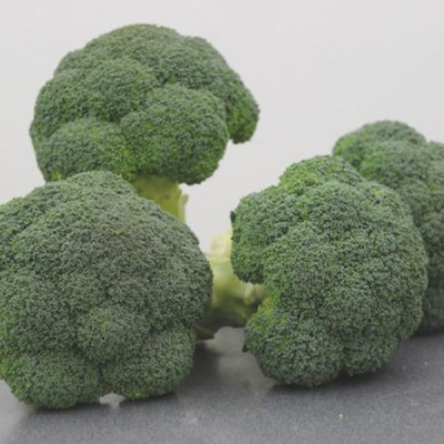 КОРОС F1 брокколи Вильморин