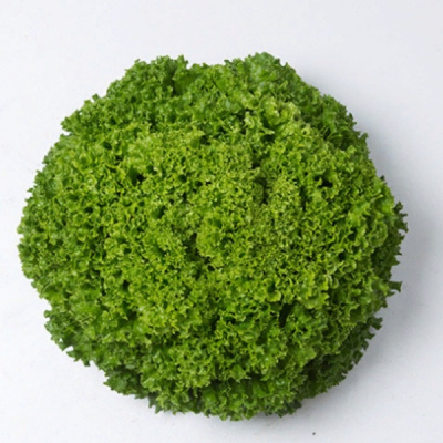 ИЛЕМА F1 салат лолло блонда Энза Заден