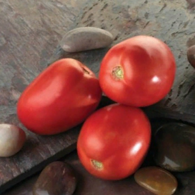 ДИАБОЛИК F1 томат Саката