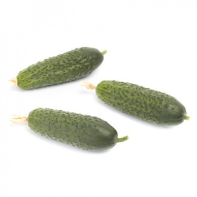 КИБРИЯ F1 огурец Райк Цваан, PR, 100 шт