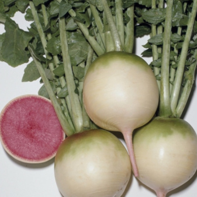 РЭД МИТ F1 дайкон Энза Заден