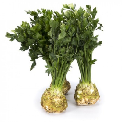 ПРЕЗИДЕНТ P3 F1 сельдерей Райк Цваан, NS, 1 тыс.шт