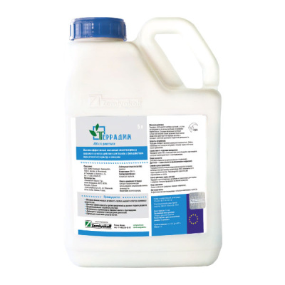 Террадим, КЭ