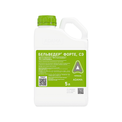 Бельведер Форте, СЭ