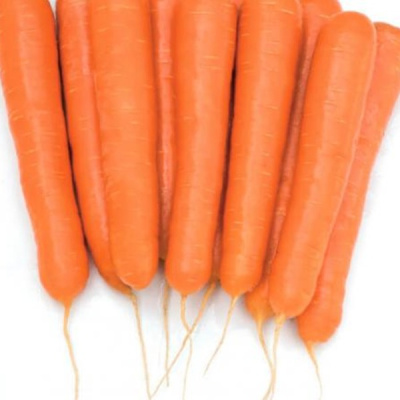 ОКТАВО F1 морковь Вильморин (фр.1, 8-2, 0 мм) 500 т шт