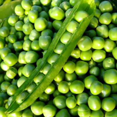 БУТАНА F1 горох Нюнемс