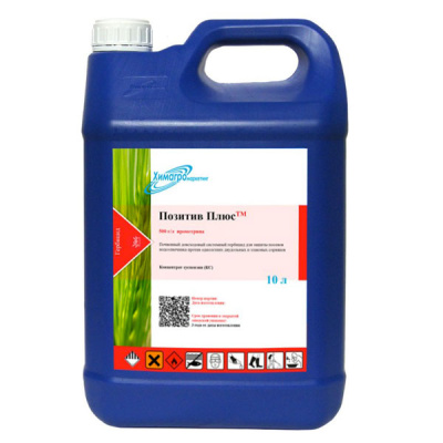 Позитив Плюс, КС