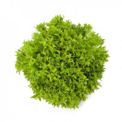 ЭКСПИРИЕНС F1 салат Райк Цваан, 5 тыс.драже