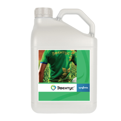 Эвентус, МЭ