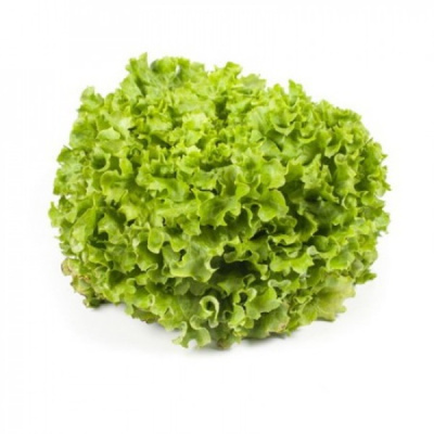 ОТИЛИ F1 салат Райк Цваан, 1 тыс.драже