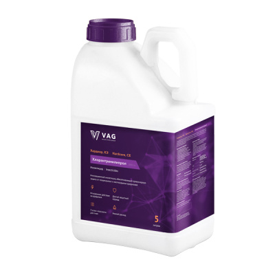 Хардкор, КЭ 5 л