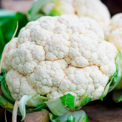 КОРЛАНУ F1 капуста цветная Сингента