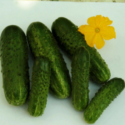 БОМОНД F1 огурец Гриномика