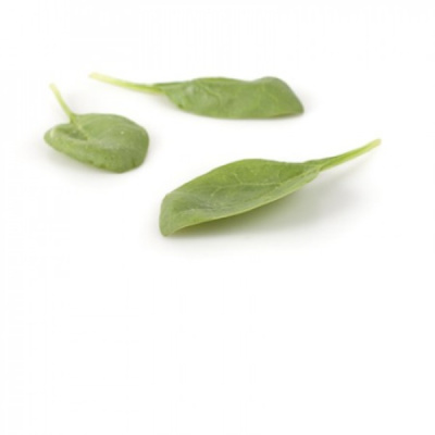 МУФЛОН F1 шпинат Райк Цваан, PR, 1 млн.шт