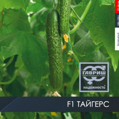 ТАЙГЕРС F1 огурец Гавриш