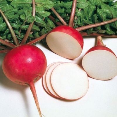 МИСАТО РЕД F1 дайкон Саката