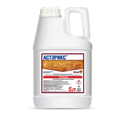 Астэрикс, СЭ