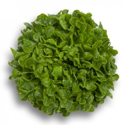 ГУМБОЛЬД F1 салат Райк Цваан, 5 тыс.драже