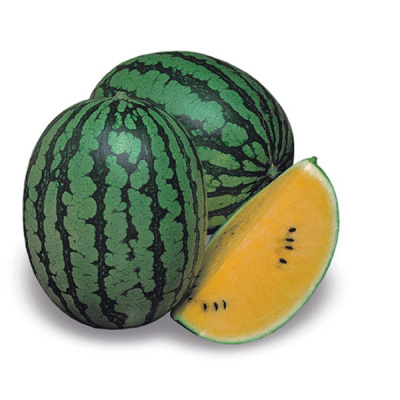 ШАМПАНЬ F1 арбуз Энза Заден