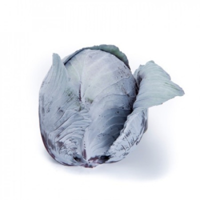 РЕДМА F1 капуста краснокочанная Райк Цваан, NS, 2500 шт