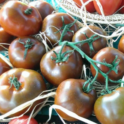 НАОМИ F1 томат Гавриш (3000)