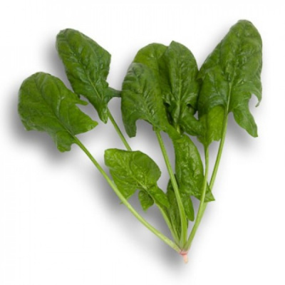 ДОЛЬФИН РЗ F1 шпинат Райк Цваан, PR, 1 млн.шт