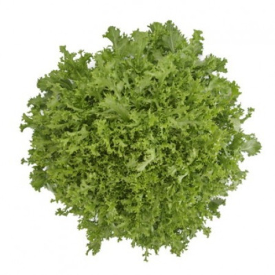 БЕРЛИНАЛ F1 эндивий Райк Цваан, 1 тыс.драже