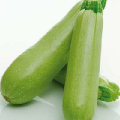 КАСПИЙ F1 кабачок Саката