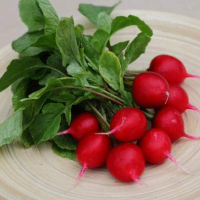 РЕМБО F1 редис Гавриш (1000 г)