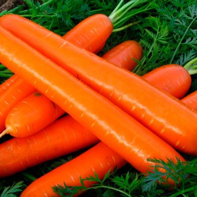 БРИЛИАНС F1 морковь Нюнемс фр.1.6-1.8 мм (100 000 шт)