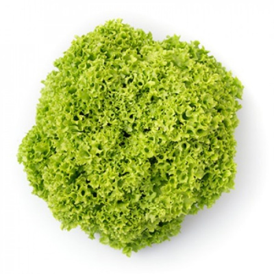 ЛИМЕЙРА F1 салат Райк Цваан, 5 тыс.драже