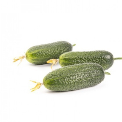 ПРОМИССА F1 огурец Райк Цваан, PR, 1000 шт
