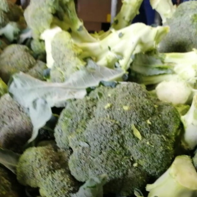 СТИЛ F1 брокколи Семинис