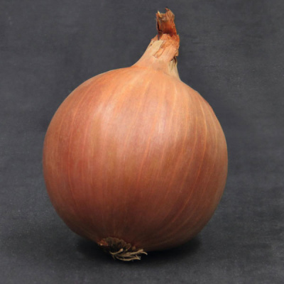 ШЕРМАН F1 лук Бейо