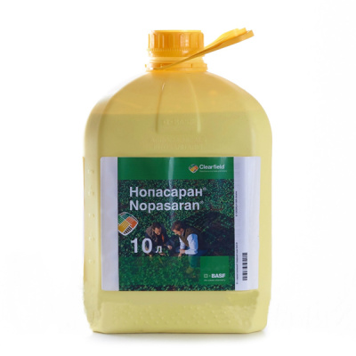 Нопасаран, КС