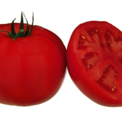 МОНА/ТМАЕ 683 F1 томат Саката