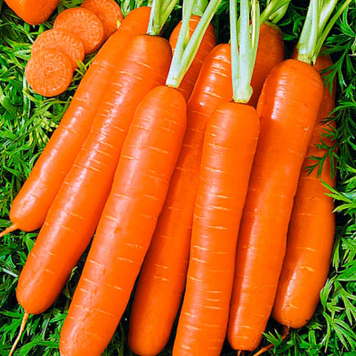 РОМАНС F1 морковь Нюнемс фр.1.6-1.8 мм (1 000 000 шт)