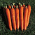 МИРНА F1 морковь Семинис, 1 млн шт.
