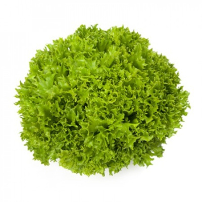 ЭКЗАКТ F1 салат Райк Цваан, 5 тыс.драже