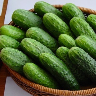 МОНИСИЯ F1 огурец Семинис, 250 шт