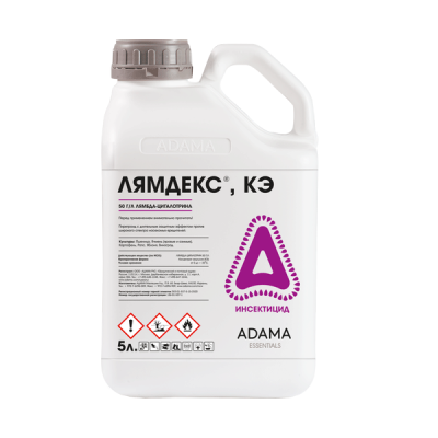 Лямдекс, КЭ