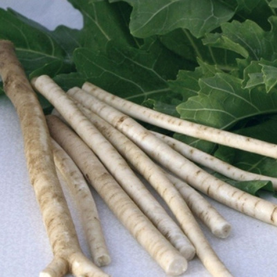 ПИКАДРОМ F1 катран Гавриш (500 г)