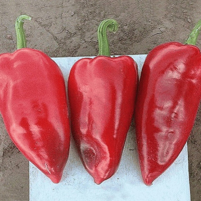 ТРИПЛ СТАР F1 перец Энза Заден