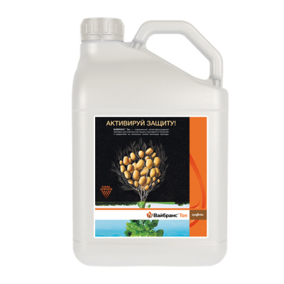 Вайбранс Топ, КС