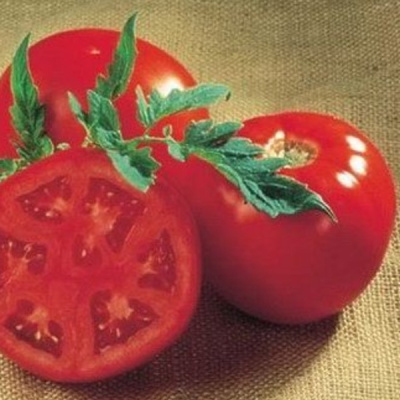 САНРАЙЗ F1 томат Семинис