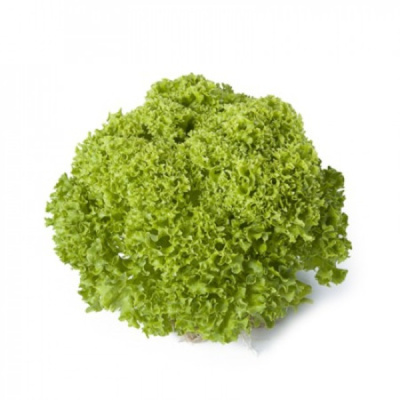 ЛУГАНО F1 салат Райк Цваан, 5 тыс.драже